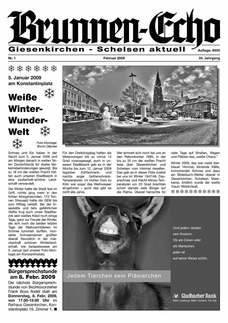 Brunnen-Echo Ausgabe 1 - Februar 2009