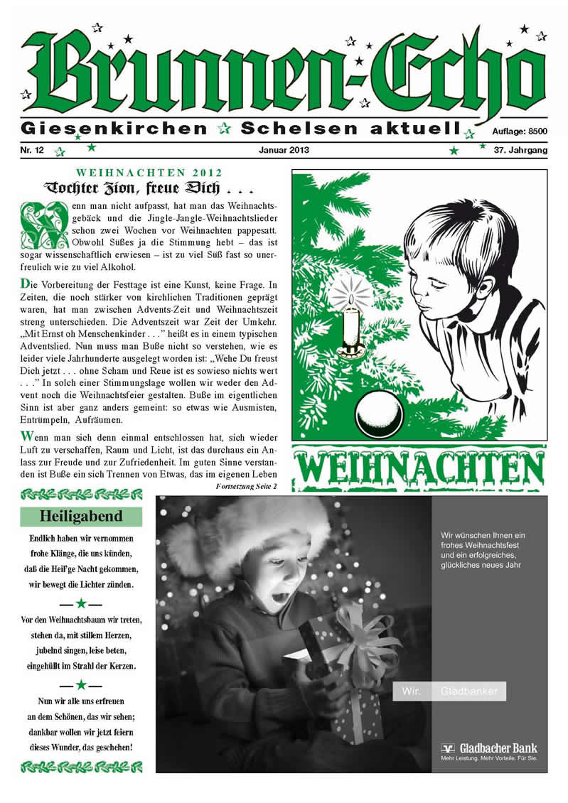 Brunnen-Echo Ausgabe 12 - Januar 2013